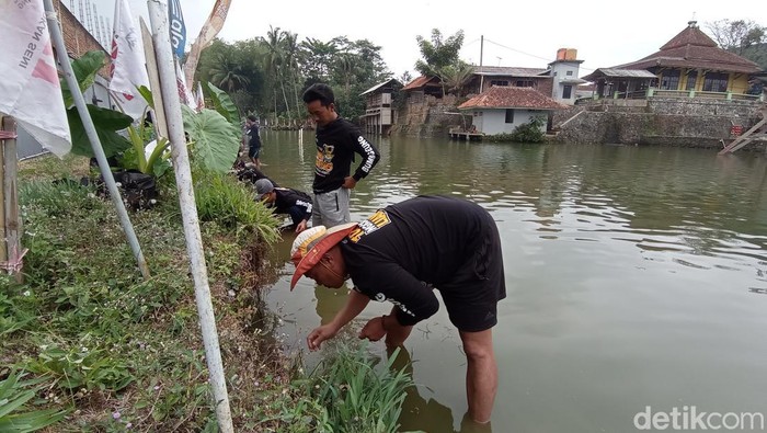 Peserta lomba ngurek tengah asyik berburu belut dan sidat.