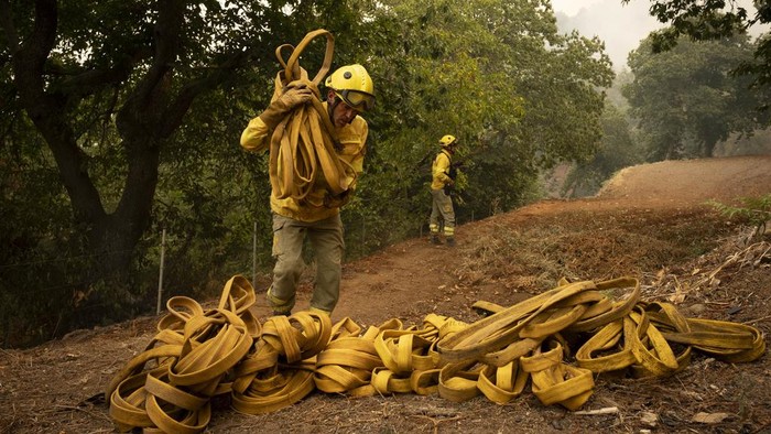 Potret Perjuangan Damkar Padamkan Kebakaran Hutan di Pulau Tenerife Spanyol***** Kebakaran telah melanda hutan di Pulau Tenerife, Spanyol. Petugas damkar pun terus berjuang untuk memadamkan kobaran api.
