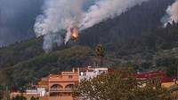 Kebakaran melanda hutan itu sejak Selasa (15/8/2023) malam.  