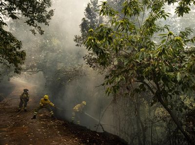 Potret Perjuangan Damkar Padamkan Kebakaran di Pulau Tenerife Spanyol