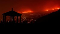 Seperti diketahui, kebakaran telah melanda hutan itu sejak Selasa (15/8/2023) lalu. 