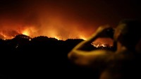 Kebakaran melanda hutan itu sejak Selasa (15/8/2023) malam. 