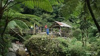 Pemandanngan hijau bikin mata segar.