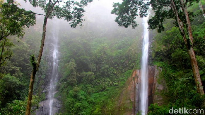 Di Jawa Timur, Air Terjun Tancak Kembar belum sepopuler Coban Pelangi apalagi Tumpak Sewu. Namun wisata alam ini menarik untuk dikunjungi saat detikers berkunjung ke Bondowoso.