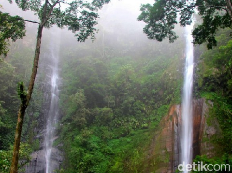 Di Jawa Timur, Air Terjun Tancak Kembar belum sepopuler Coban Pelangi apalagi Tumpak Sewu. Namun wisata alam ini menarik untuk dikunjungi saat detikers berkunjung ke Bondowoso.