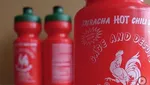 Unik! 10 Desain Botol Ini Ada yang Berbulu hingga Bisa Simpan HP