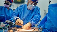Penelitian tentang operasi ini, yang berlangsung 14 Juli, akan berlanjut hingga pertengahan September, karena dokter memantau berapa lama ginjal hewan akan berfungsi dengan baik di dalam tubuh manusia setelah 32 hari. (Foto: Joe Carrotta / NYU Langone Health)