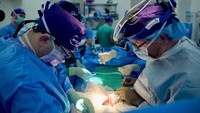 Ahli bedah NYU Langone Health berhasil transplantasi ginjal babi ke pasien mati otak. Organ tersebut kini telah bertahan hidup di tubuh manusia selama lebih dari sebulan. (Foto: Joe Carrotta / NYU Langone Health)
