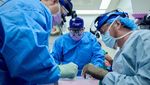 Detik-detik Ahli Bedah AS Sukses Cangkok Ginjal Babi ke Pasien Mati Otak