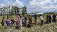Sebagian warga terpaksa mengambil air bersih di sumur gali yang berada di tengah sawah.  