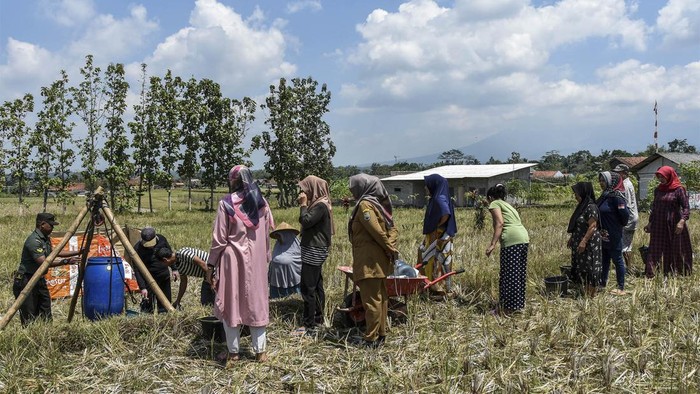El Nino Bikin Ciamis Kekeringan, Warga Antre Air Bersih Warga mengambil air bersih di Dusun Cicurug, Kabupaten Ciamis, Jawa Barat, Senin (21/8/2023). Sebanyak 90 kepala keluarga (KK) dan seluas 80 hektare lahan pertanian mengalami kekeringan akibat musim kemarau sejak sebulan terakhir dan sebagian warga terpaksa mengambil air bersih di sumur gali yang berada di tengah sawah yang dibuat warga secara swadaya.