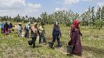 El Nino Bikin Ciamis Kekeringan, Warga Antre Air Bersih