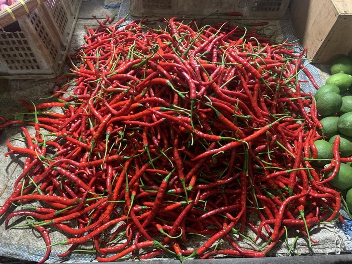 Harga cabai di Medan kembali naik