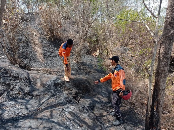Lokasi lahan terbakar di Desa Sendang, Kecamatan Wonogiri, Kabupaten Wonogiri, yang menewaskan seorang lansia, Senin (21/8/2023).