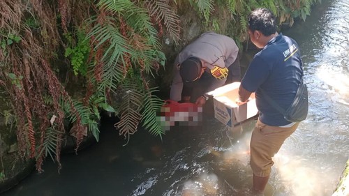 Polisi mengevakuasi mayat bayi perempuan dari saluran irigasi di Tabanan, Bali.