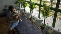 Mabed menggambarkan kehadiran kucing di hidup setiap orang adalah sebuah anti-depresan yang diakui secara universal.   
