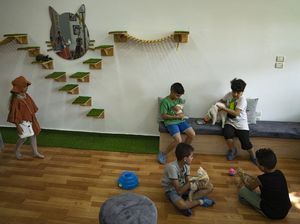 Kafe Kucing Pertama di Gaza, Oase di Tanah Konflik