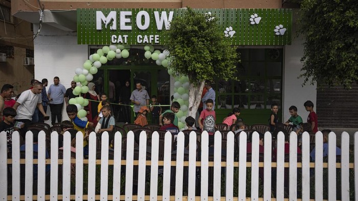 Potret Kafe Kucing Pertama di Jalur Gaza Palestinians gather for the opening ceremony of Meow Cafe in Gaza City, Thursday, Aug 17, 2023. Amidst the challenges of life in the Gaza Strip, constrained by a 17-year blockade and ongoing conflicts, this first-ever cat cafe offers a unique space for relaxation and positive human-animal interaction. (AP Photo/Fatima Shbair)