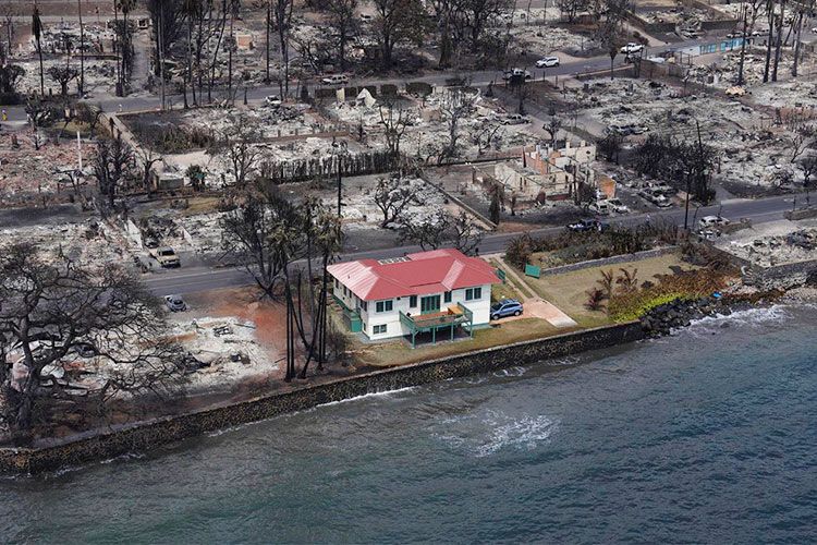 Rumah Atap Merah Utuh di tengah kebkaran Hawaii/via Gulf Today