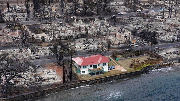 Rumah Atap Merah Utuh di tengah kebkaran Hawaii/via Gulf Today