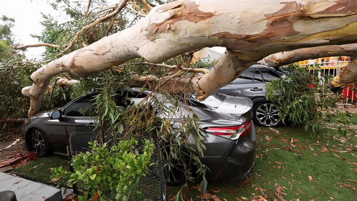 Laura Elizalde Reyes checks her car hit by a light pole as Tropical Storm Hilary hits Baja California state, in Mexicali, Mexico, August 20, 2023. REUTERS/Victor Medina