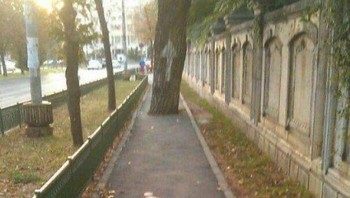 Jalur menantang bagi pengendara sepeda. Foto: Boredpanda