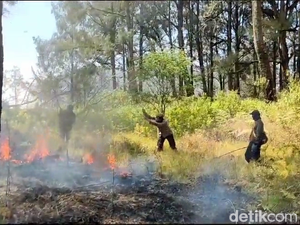 3 Titik Hutan Kawasan TNBTS Terbakar Berhasil Dipadamkan, 2 Masih Menyala