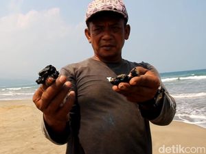 Pemprov Lampung Selidiki Asal Limbah Minyak Mentah yang Cemari Pantai Wisata