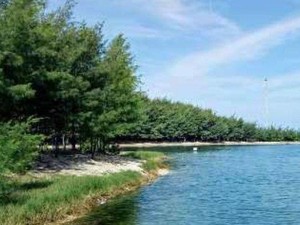 Pantai Remen Tuban: Daya Tarik, Fasilitas, Harga Tiket, dan Rute