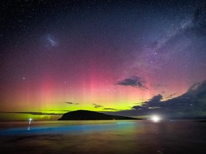 Penjelasan Pakar Mengapa Perairan dan Serangga di Tasmania Bisa Menyala