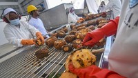 Data dari kementerian Perindustrian menyebutkan pemerintah menargetkan pada tahun 2024 produksi umbi porang akan mencapai 600.000 ton dari luas lahan sebesar 100.000 hektare. ANTARA FOTO/Ahmad Subaidi  