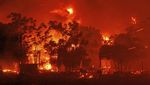 Horor Api Merah Membara Membakar Hutan di Yunani