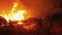 Petugas pemadam kebakaran mencoba memadamkan api di hutan di desa Avantas, dekat kota Alexandroupolis, di wilayah timur laut Evros, Yunani, Senin (21/8/2023). Angin kencang memperburuk keadaan dan membuat api semakin cepat meluas.