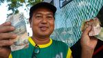 Potret Penukaran Uang Rusak, Jadi Baru Lagi!