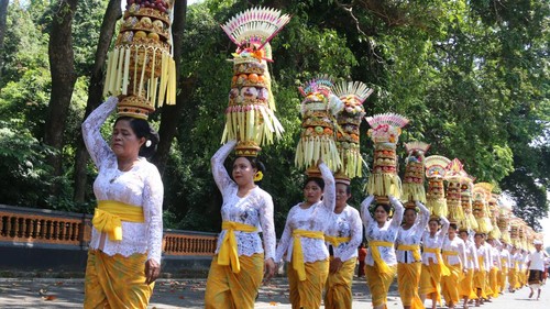 Prosesi mengusung gebogan yang mengawasi pujawali atau piodalan di Pura Dalem Kahyangan Kedaton, Alas Kedaton, Tabanan, Selasa (22/8/2023). (chairul amri simabur/detikBali)