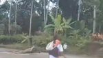 Momen Murid SD di Nias Selatan Menyeberangi Sungai