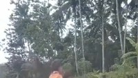 Siswa SD di Nias Selatan nyeberang sungai pakai batang kayu. (Foto: Tangkapan layar)