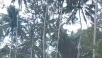 Peristiwa itu terjadi di Desa Lawindra, Kecamatan Mazino, Kabupaten Nias Selatan (Nisel). (Foto: Tangkapan layar)