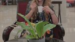 Verny Hasan Pamer Momen Kuliner, Nongkrong di Kafe hingga Floating Breakfast