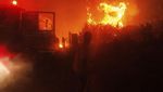 Was-was Warga Yunani Terkepung Kebakaran Hutan
