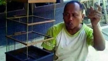 Burung hantu. Foto: Twitter/tuan_marci