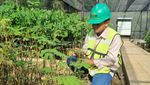 Aksi Tanam 1.530 Bibit Pohon di Area Reklamasi Banyuasin