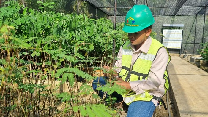 Aksi Tanam 1.530 Bibit Pohon di Area Reklamasi Banyuasin