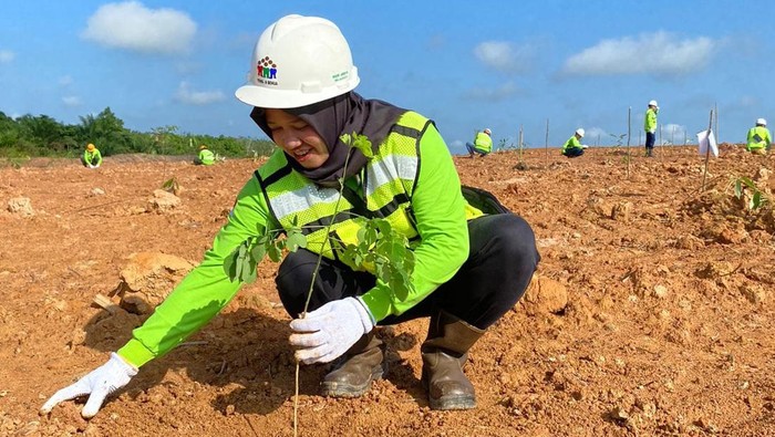 Aksi Tanam 1.530 Bibit Pohon di Area Reklamasi Banyuasin