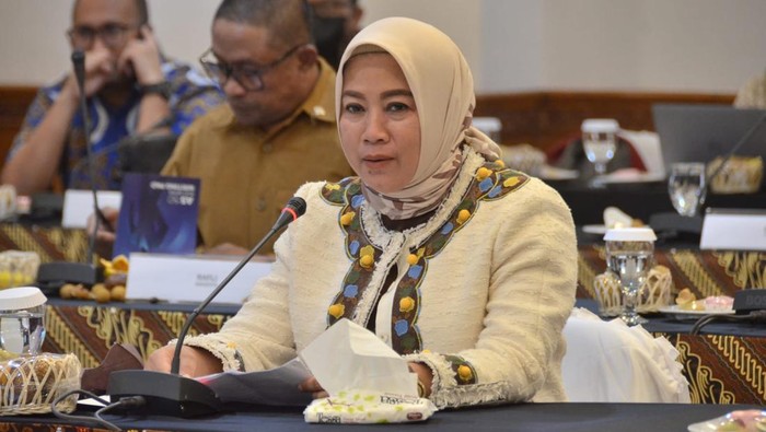 Anggota Komisi VI DPR RI dari PPP Elly Rachmat Yasin