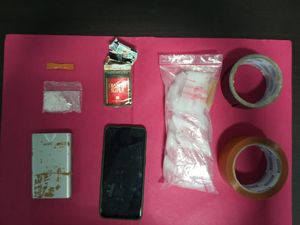 Simpan Sabu di Dapur Rumah, Bunda Dea Diciduk Polisi