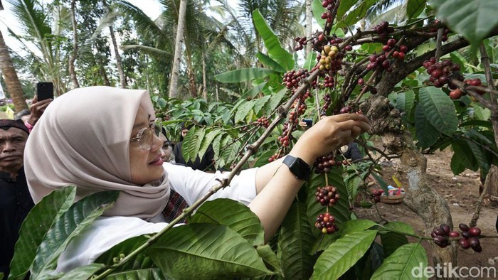 Bupati Banyuwangi Ipuk Fiestiandani