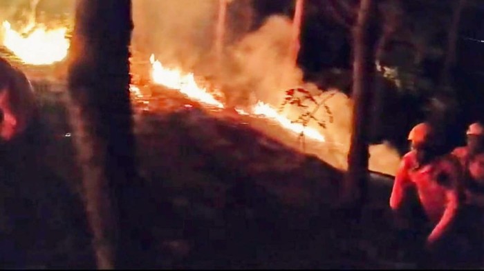 Hutan di kawasan Arak-arak Bondowoso terbakar