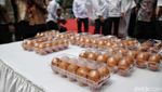 Indonesia Ekspor Telur Ayam Konsumsi ke Singapura