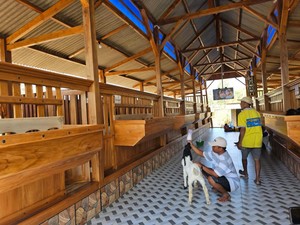 Hobi Nongkrong Pasutri di Balik Mewahnya Kandang Kambing Tuban